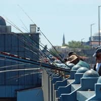 7-Night Maldives Liveaboard – Central Atolls